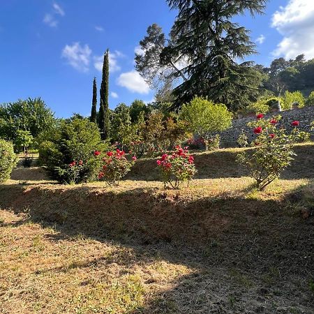 Borgo Al Canto Degli Alberi Lucca Eksteriør bilde