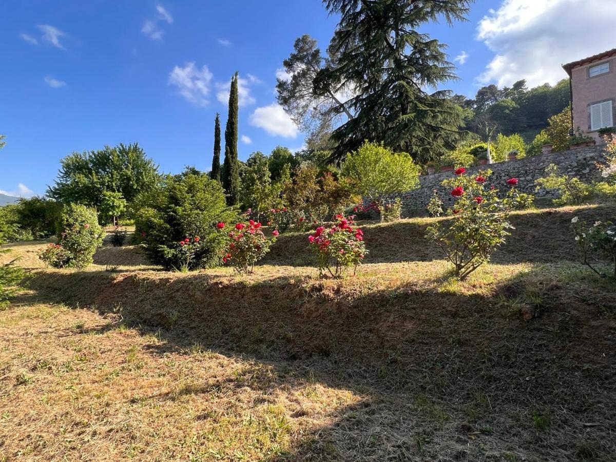 Borgo Al Canto Degli Alberi Lucca Eksteriør bilde