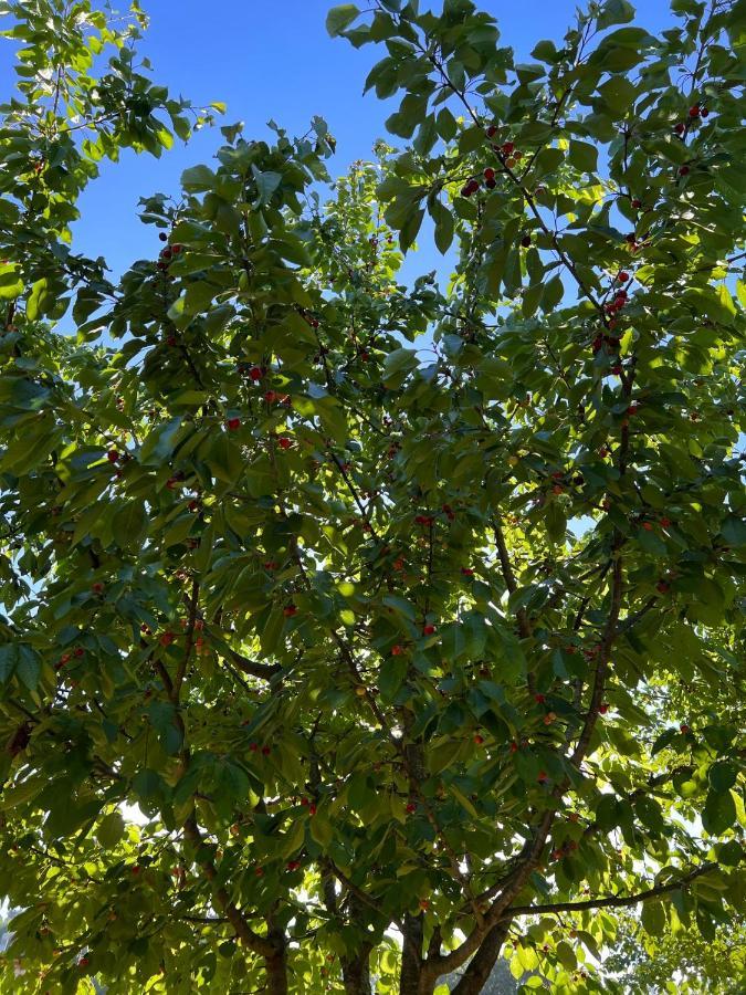 Borgo Al Canto Degli Alberi Lucca Eksteriør bilde
