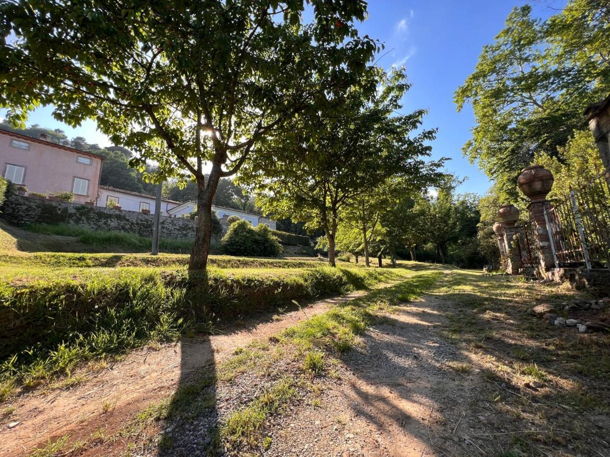 Borgo Al Canto Degli Alberi Lucca Eksteriør bilde