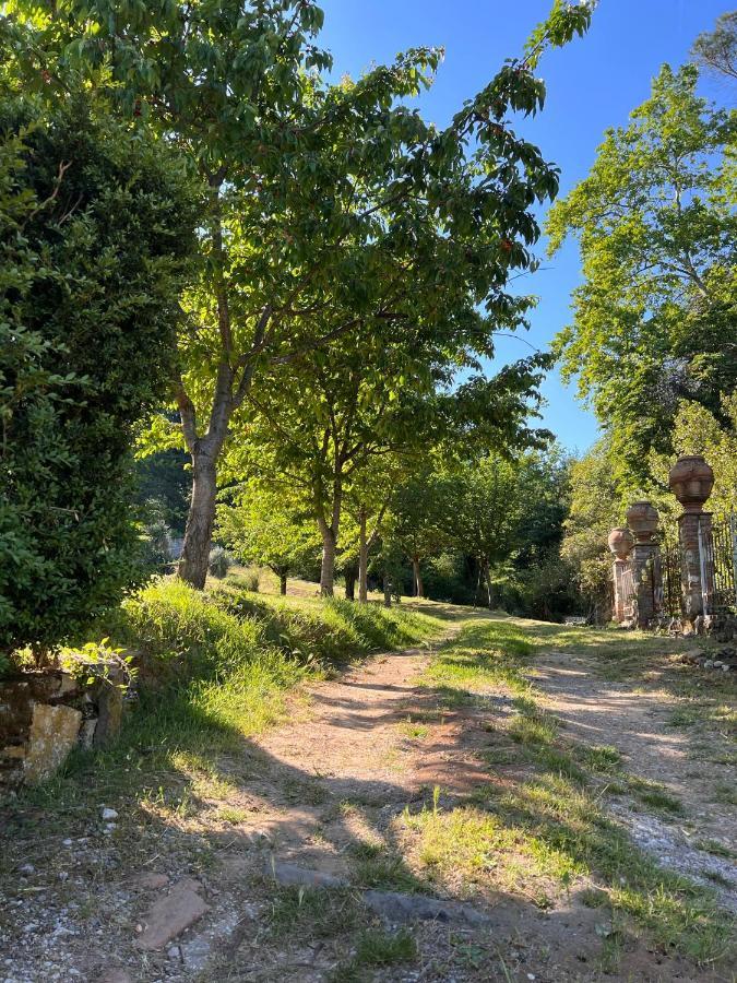 Borgo Al Canto Degli Alberi Lucca Eksteriør bilde